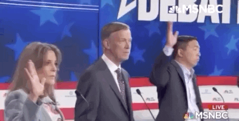 Dnc Debates 2019 Raising Hand GIF by MSNBC