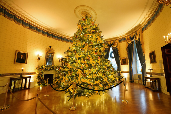 The Blue Room of the White House is decorated during the 2020 Christmas preview, Monday,